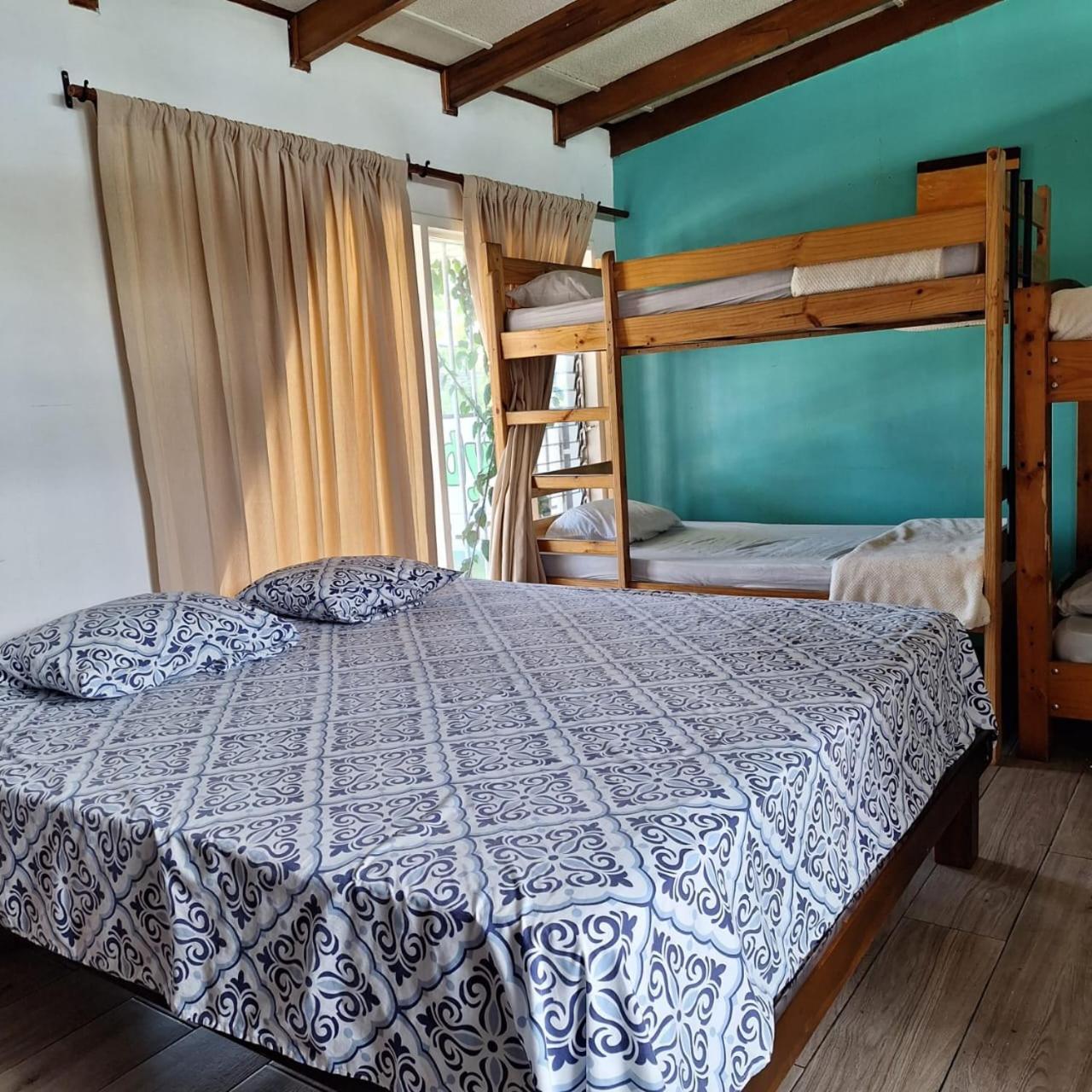 Gaudy's Hostel San José