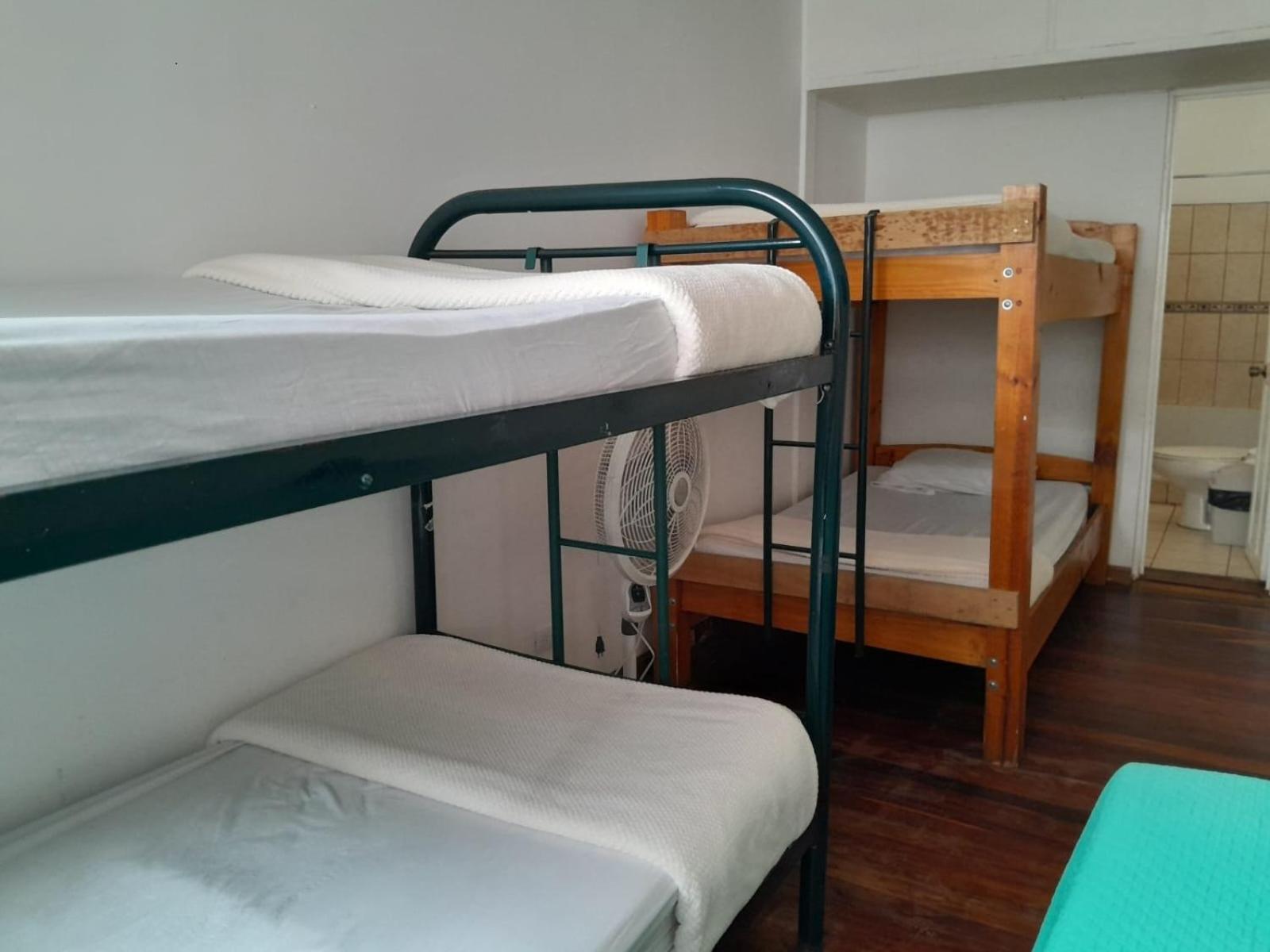 Hostel Gaudy's San José