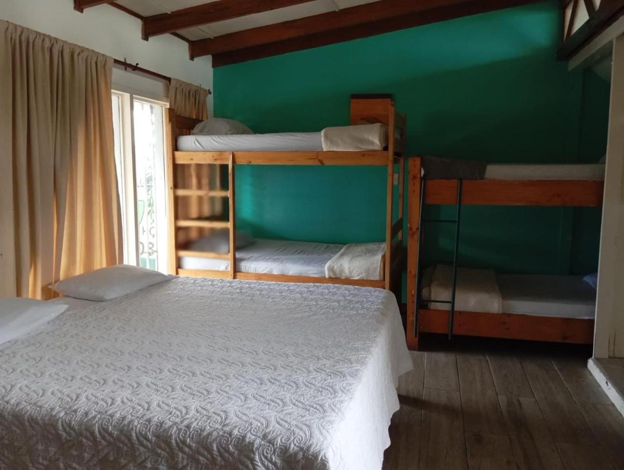 Hostel Gaudy's San José